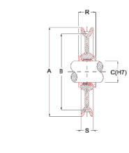 disegnoPN